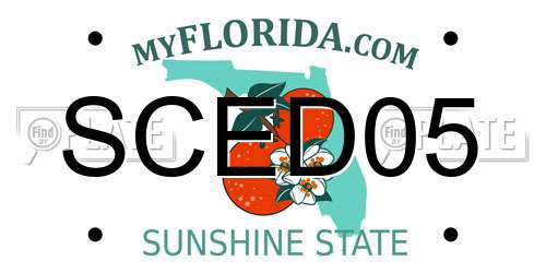 SCED05 Florida License Plate