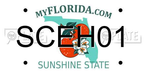 SCEH01 Florida License Plate
