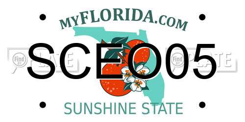 SCEO05 Florida License Plate