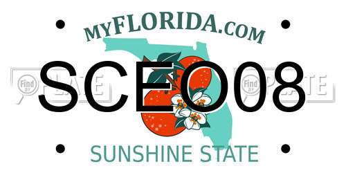 SCEO08 Florida License Plate