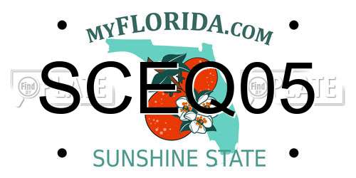 SCEQ05 Florida License Plate