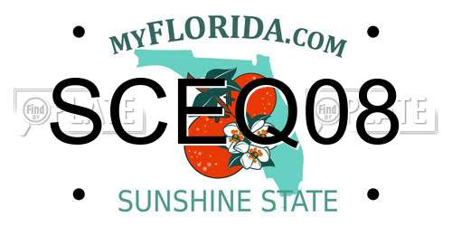 SCEQ08 Florida License Plate
