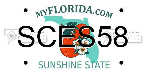 SCES58 Florida License Plate