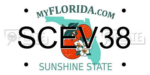 SCEV38 Florida License Plate