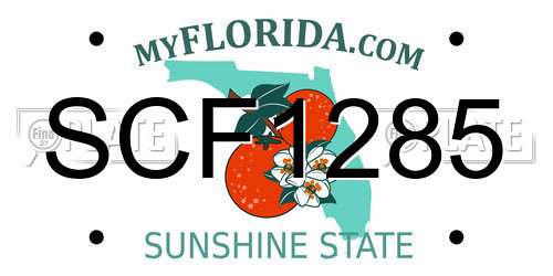 SCF1285 Florida License Plate