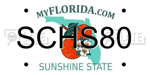 SCHS80 Florida License Plate
