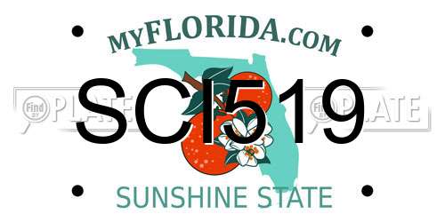 SCI519 Florida License Plate