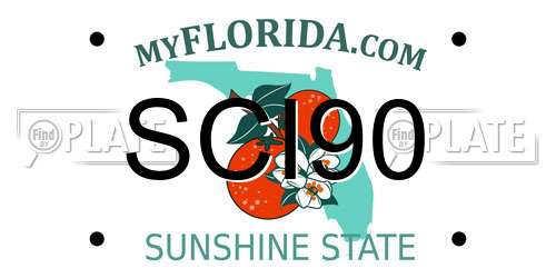 SCI90 Florida License Plate