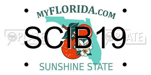 SCIB19 Florida License Plate