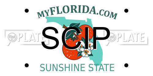SCIP Florida License Plate