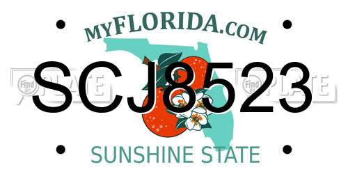 SCJ8523 Florida License Plate