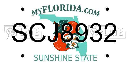 SCJ8932 Florida License Plate