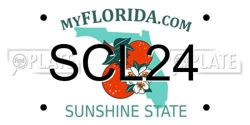 SCL24 Florida License Plate