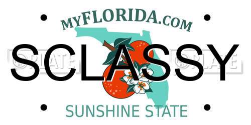 SCLASSY Florida License Plate