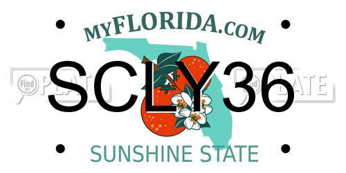 SCLY36 Florida License Plate