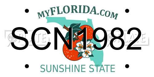 SCN1982 Florida License Plate