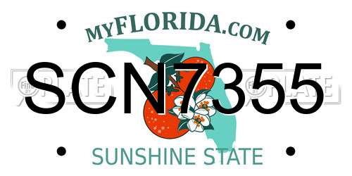 SCN7355 Florida License Plate