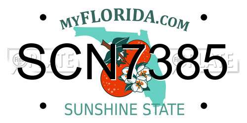SCN7385 Florida License Plate