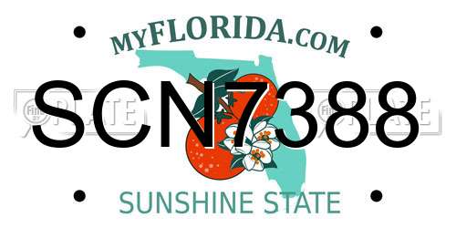 SCN7388 Florida License Plate