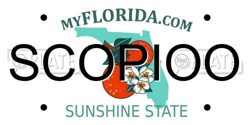 SCOPIOO Florida License Plate