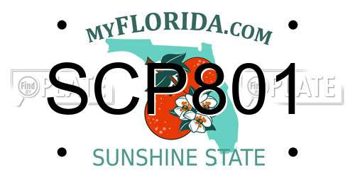 SCP801 Florida License Plate