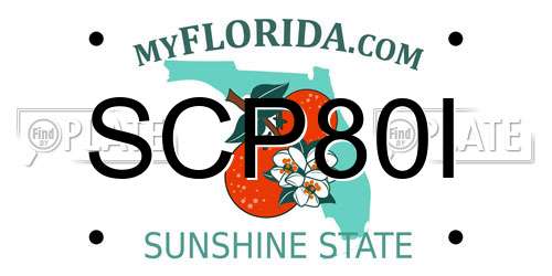 SCP80I Florida License Plate