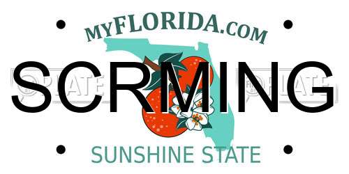 SCRMING Florida License Plate