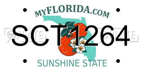SCT1264 Florida License Plate