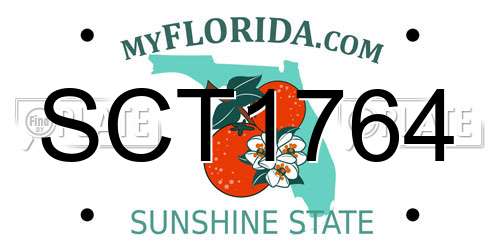 SCT1764 Florida License Plate