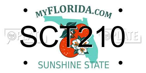 SCT210 Florida License Plate