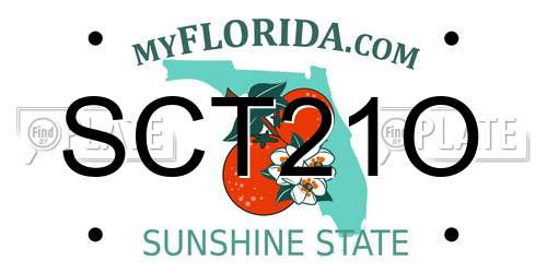 SCT21O Florida License Plate