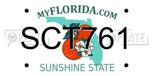 SCT761 Florida License Plate