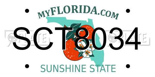 SCT8034 Florida License Plate