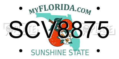 SCV8875 Florida License Plate