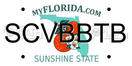 SCVBBTB Florida License Plate