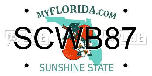 SCWB87 Florida License Plate