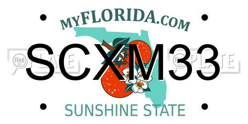 SCXM33 Florida License Plate