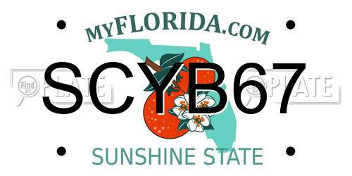 SCYB67 Florida License Plate