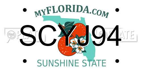 SCYJ94 Florida License Plate