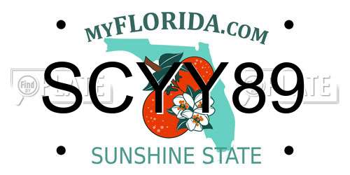 SCYY89 Florida License Plate