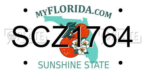 SCZ1764 Florida License Plate