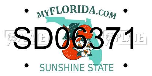 SD06371 Florida License Plate