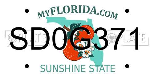 SD0G371 Florida License Plate
