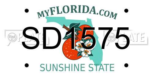 SD1575 Florida License Plate