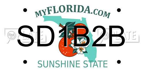 SD1B2B Florida License Plate