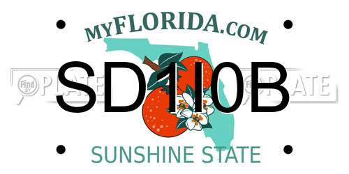 SD1I0B Florida License Plate