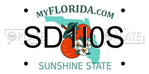 SD1I0S Florida License Plate