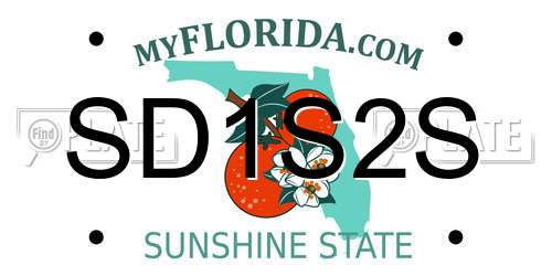 SD1S2S Florida License Plate