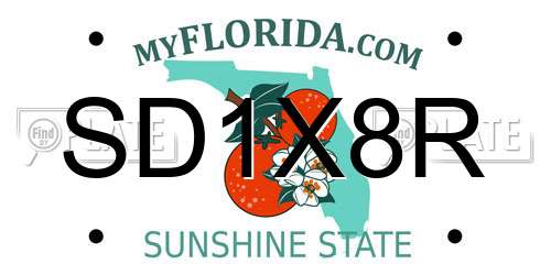 SD1X8R Florida License Plate