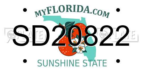 SD20822 Florida License Plate